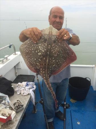 9 lb Thornback Ray by Unknown