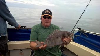 3 lb Black Sea Bream by Stephen Wake