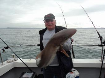 23 lb Tope by Andy Truelove