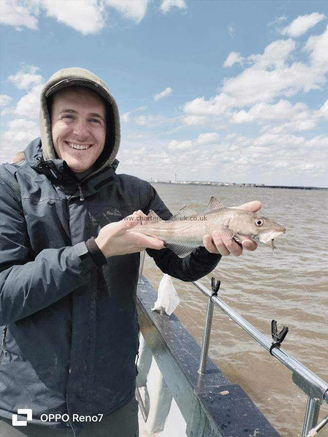 1 lb 4 oz Cod by Carl