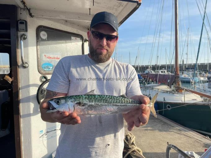 2 lb Mackerel by Unknown