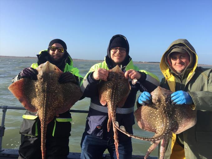 8 lb Thornback Ray by Unknown