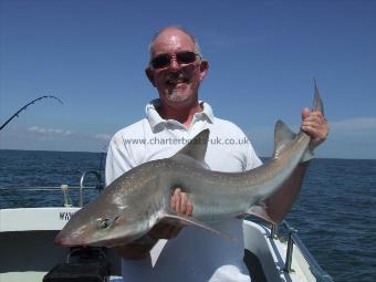 18 lb 6 oz Starry Smooth-hound by vic