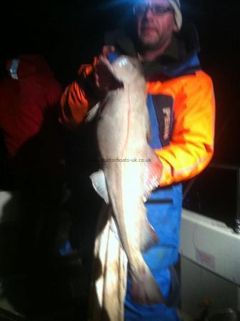 11 lb 7 oz Cod by Unknown