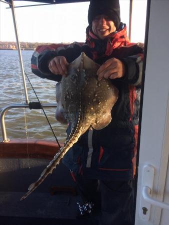 8 lb 2 oz Thornback Ray by Unknown