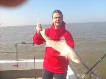 9 lb 4 oz Starry Smooth-hound by craig rosser