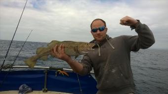 3 lb 8 oz Cod by Stephen Wake