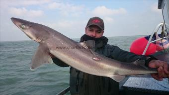 21 lb 2 oz Spurdog by George from Kent