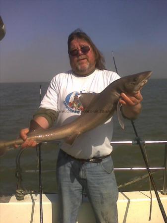 15 lb Smooth-hound (Common) by Karl Bowring