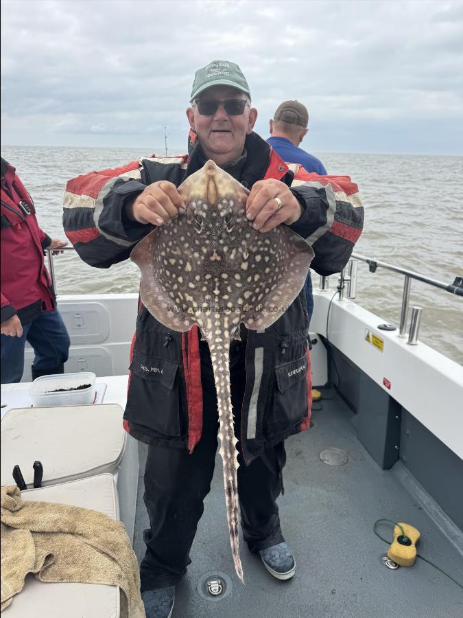 5 lb Thornback Ray by Chris