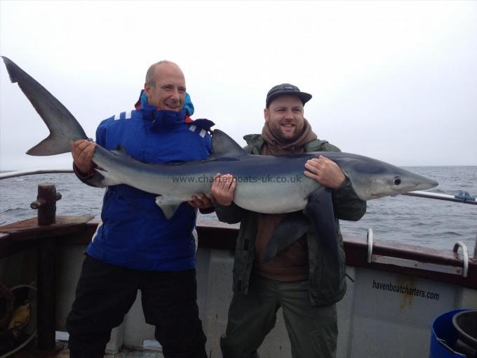 110 lb Blue Shark by T A