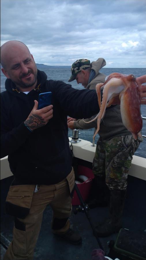 2 lb 2 oz Octopus by Stu spinks