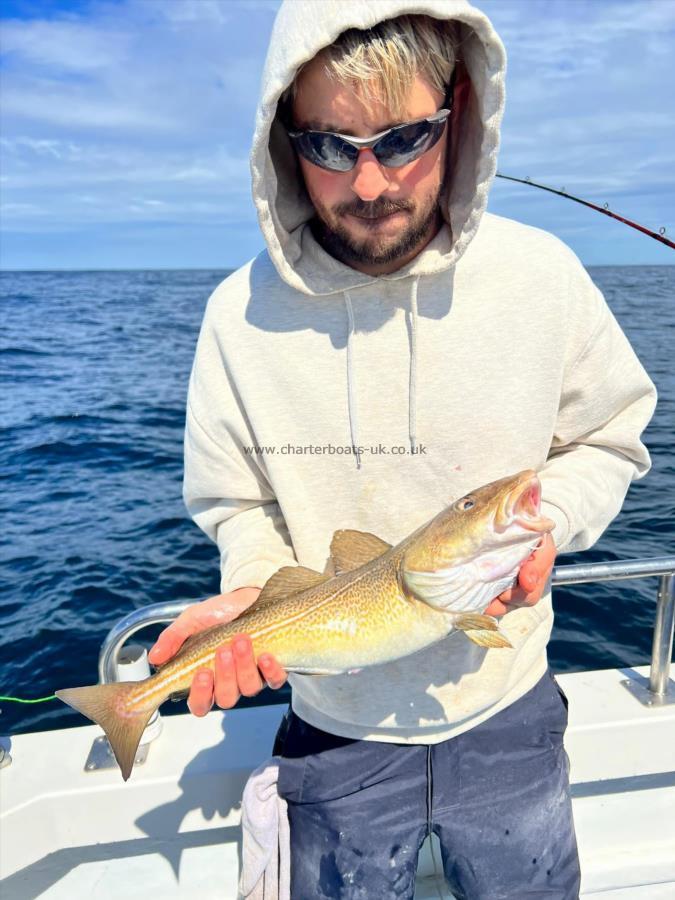 3 lb Cod by Unknown