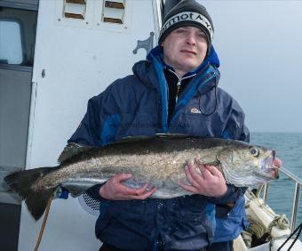 17 lb 2 oz Pollock by John Poynton