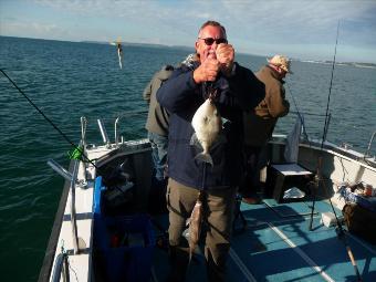 2 lb Trigger Fish by Unknown