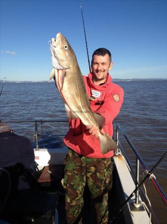 11 lb Cod by lee mahagan