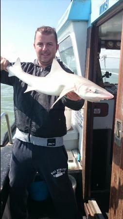 9 lb 4 oz Starry Smooth-hound by Simon from medway