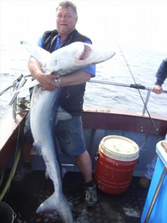 82 lb Blue Shark by Malcolm