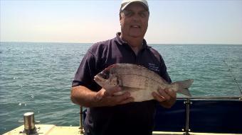 3 lb 2 oz Black Sea Bream by Stephen Wake