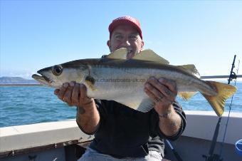 5 lb Pollock by Stephen Wake