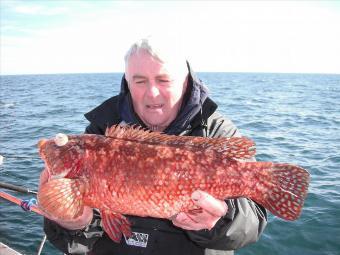 3 lb 8 oz Ballan Wrasse by Mike Kilheeney