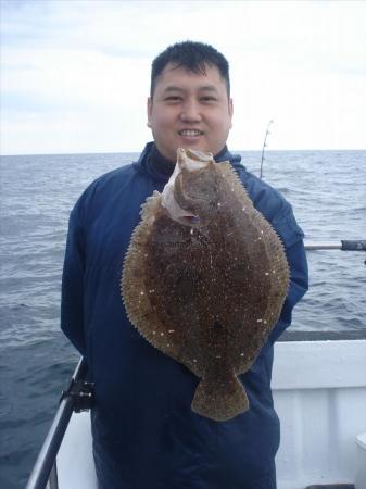 6 lb Brill by Calvin