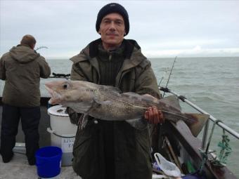 6 lb Cod by Tim the `Tache