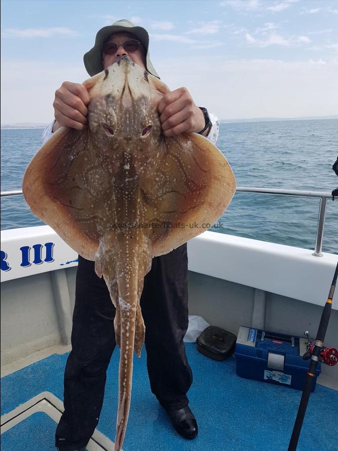 12 lb Undulate Ray by Ron