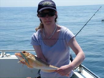 3 lb Grey Gurnard by lucky heather!!