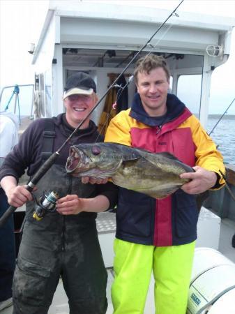 10 lb 4 oz Pollock by Marius