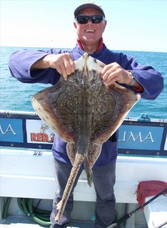 10 lb Undulate Ray by Chris Harriss