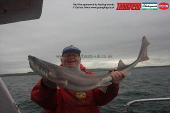 15 lb Starry Smooth-hound by Colin