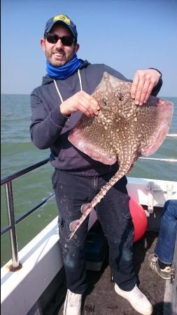 8 lb 8 oz Thornback Ray by Bob Marshall