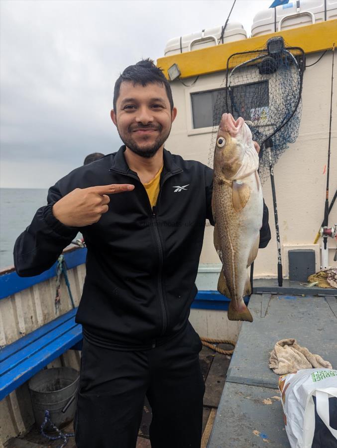 2 lb 6 oz Cod by Unknown