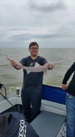 6 lb 1 oz Smooth-hound by Unknown