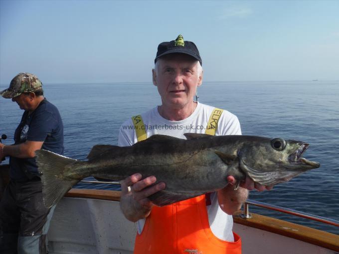 7 lb 8 oz Pollock by Phil