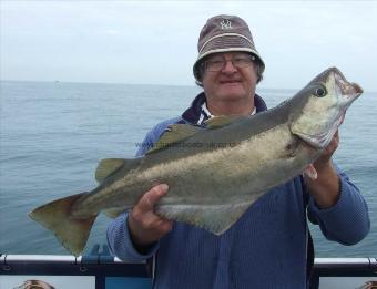 10 lb 8 oz Pollock by Colin Gibson