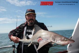 14 lb Starry Smooth-hound by Mark