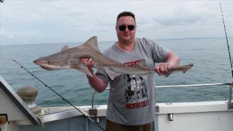 14 lb Smooth-hound (Common) by Unknown