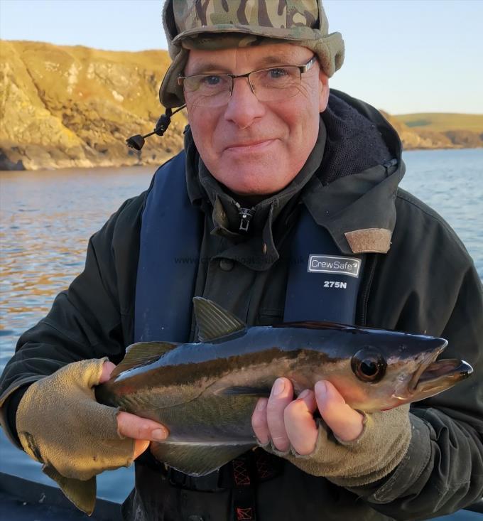 4 lb 8 oz Pollock by Unknown