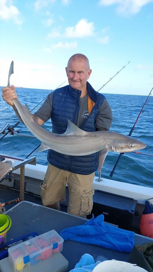 19 lb 2 oz Starry Smooth-hound by Jason skipper