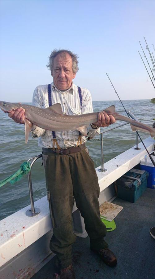 9 lb Smooth-hound (Common) by Clive