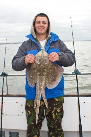 5 lb Thornback Ray by Steffan