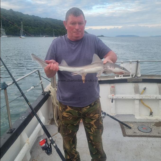 4 lb Smooth-hound by mckenzie Worthy