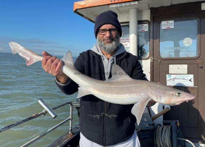 8 lb Smooth-hound (Common) by Unknown