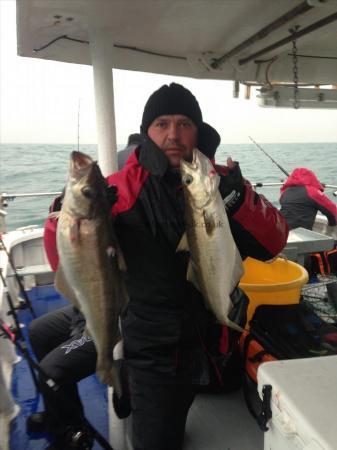 8 lb Pollock by Normans mate