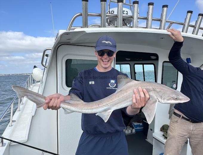 9 lb Starry Smooth-hound by Will