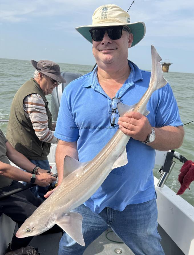11 lb 8 oz Starry Smooth-hound by Peter