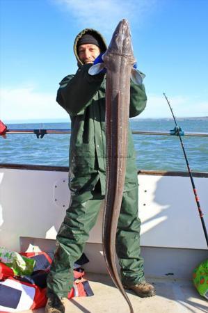 16 lb Conger Eel by Clive