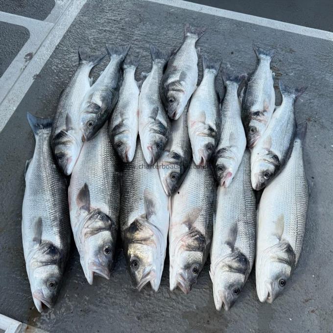 6 lb Bass by Unknown